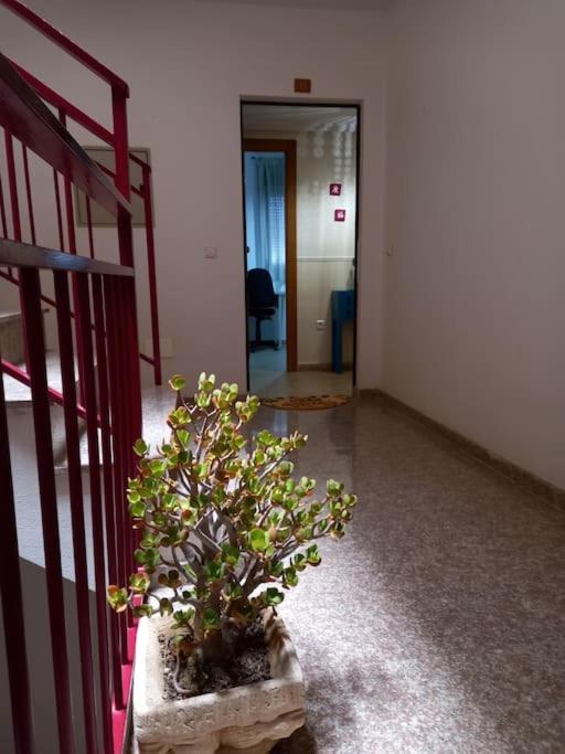 Apartamento Tranquilo Cerca De Zonas Verdes Cieza Exterior foto