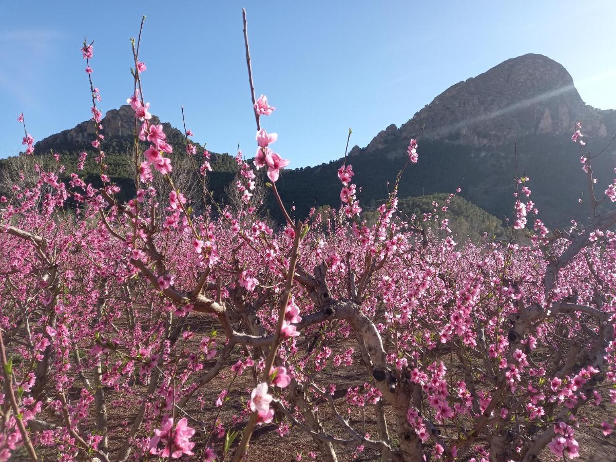Apartamento Tranquilo Cerca De Zonas Verdes Cieza Exterior foto